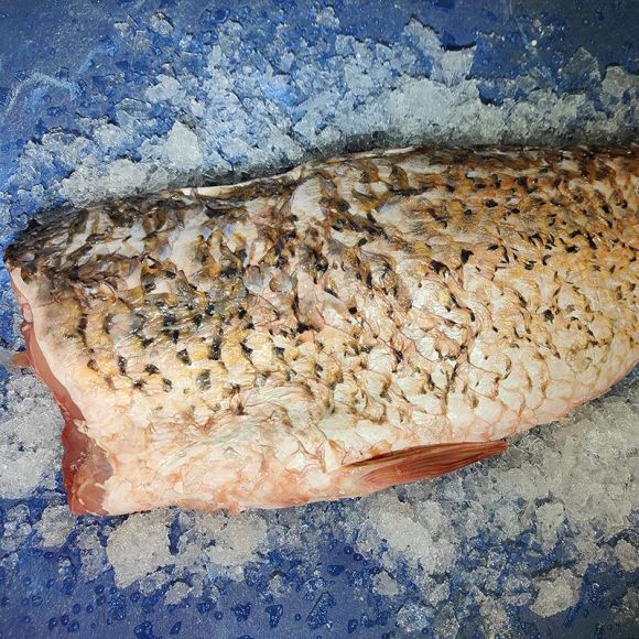 Філе коропа ✔️ Купити за вигідною ціною в Одесі