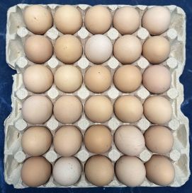 Яйцо С0 (большое)