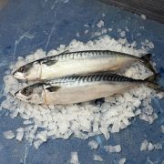 Скумбрия малосольная ✔️ Купить малосоленую скумбрию по выгодной цене (2)