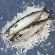 Скумбрия малосольная ✔️ Купить малосоленую скумбрию по выгодной цене (1)