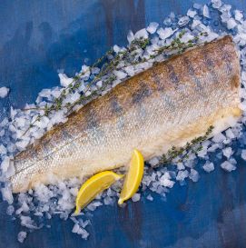 Філе судака