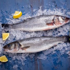 Сибас охлажденный и замороженный