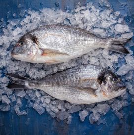 Дорадо охлажденная и замороженная