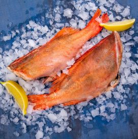 Окунь красный морской (Исландия)