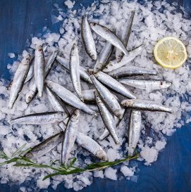 Килька балтийская с/м (заказ от 11 кг)