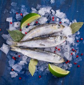 Салака с/м от 10 кг