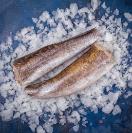 Хек молочний (Аргентина)