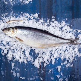 Малосольная селедка