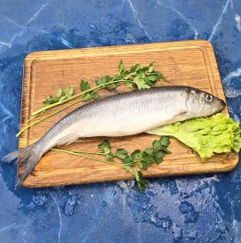 Сельдь сырая 400+, Исландия