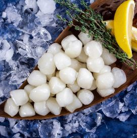 Мясо морских гребешков с/м 120-150