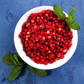 Брусника замороженная