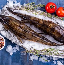 Бычок крупный (19 +)