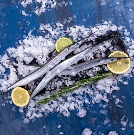 Сарган Черноморский с/м 20-30 см