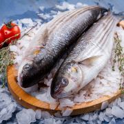 Черноморская кефаль ✔️ Купить морскую кефаль в Одессе, цена за кг (3)