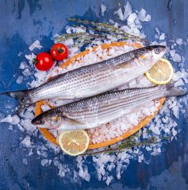 Кефаль Черноморская