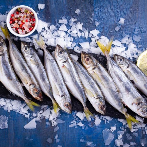 Ставридка черноморская купить свежемороженую в Одессе ✔️ Цена за кг