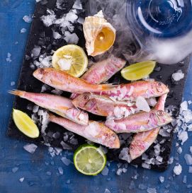 Черноморская Барабулька