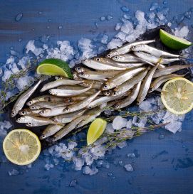 Ферина Черноморская оптом и в розницу