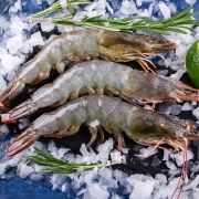 Тигровые креветки купить ✔️ Замороженные ✔️ Бангладеш (3)