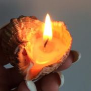 Романтична свічка в черепашці рапани ✔️ Купити в Одесі (5)