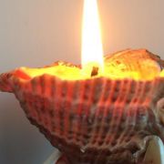 Романтична свічка в черепашці рапани ✔️ Купити в Одесі (3)