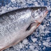 Купить потрошеный лосось (семгу) ✔️ Замороженный и охлажденный (5)