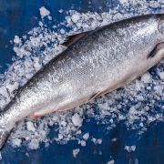 Купить потрошеный лосось (семгу) ✔️ Замороженный и охлажденный (3)