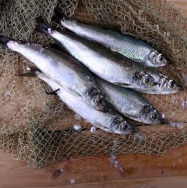 Дунайка малосольная (4 шт)