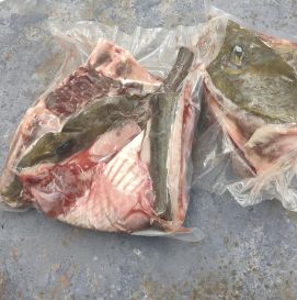 Набор на уху со ската