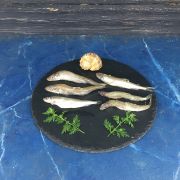 Корюшка мелкая купить ✔️ Эстония (1)