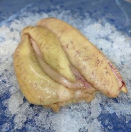 Ікра судака