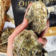 Устрицы Голд Селекшн №2 Франция ✔️ Купить оптом и в розницу, цена в Одессе (2)