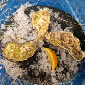 Устрица Селин №1 Франция