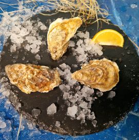 Устрица Селин №2 Франция