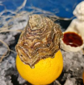 Устрица Фин де Клер №4 Франция