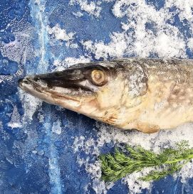 Щука замороженная