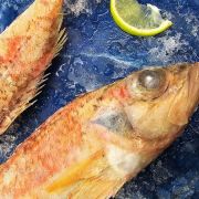 Червоний окунь з головою купити в Одесі ✔️ Ціна окуня морського з головою (2)