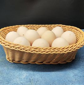Куриные яйца (С1)