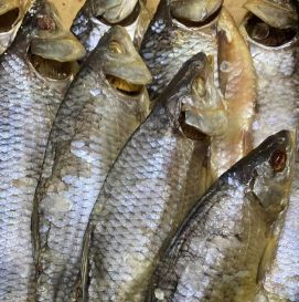 Тарань вяленая