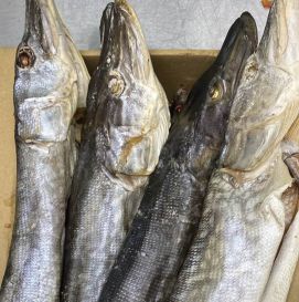 Щука вяленая