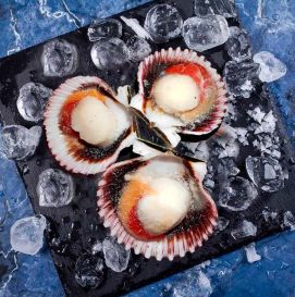 Гребешки в ракушке