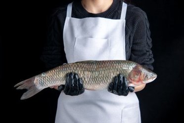 Как выбрать поставщика продуктов