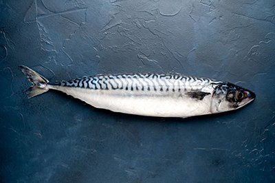 Корисні властивості скумбрії